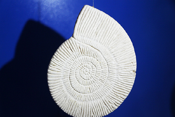 ��Ҷ����������