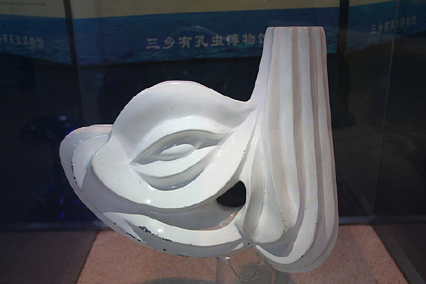 �����ȷ��ڳ����