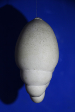 ������˹��ʴ���γ����