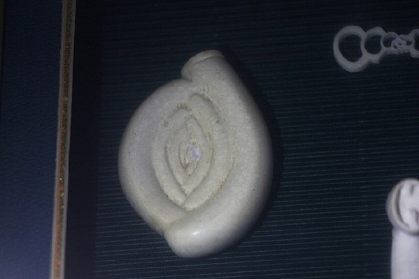 �⻬���ĳ����