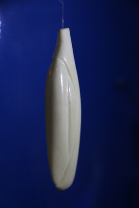 �����޳ݳ����