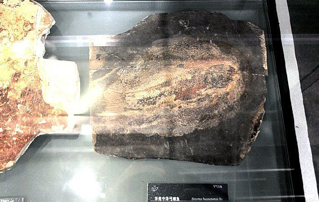 �����л����^��