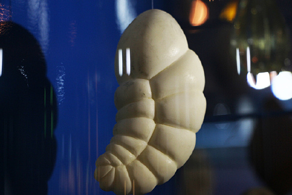 �������������