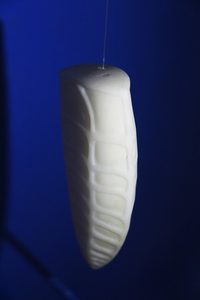 ���ܳ����