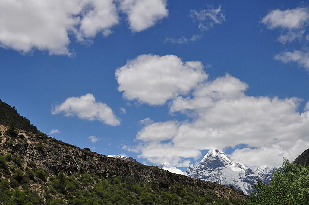 ���������������ɽ