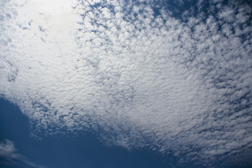 ���������ס�չ�