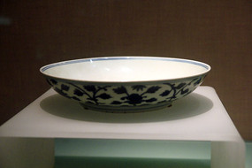 �����໨��֦������