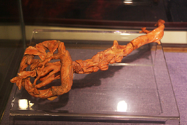 ���ɺ����������