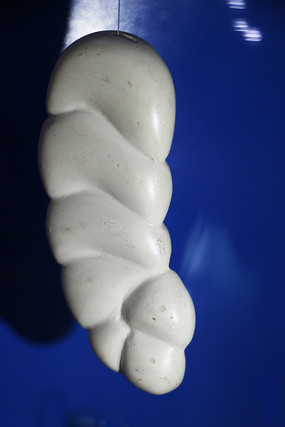 ����˹�������