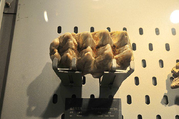 ������ɽ�������