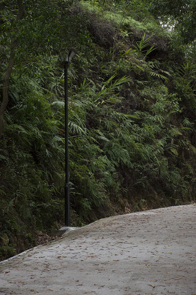 ɽ·�䴣����·��