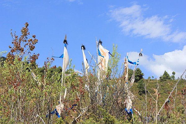 ɽ���Ͼ���