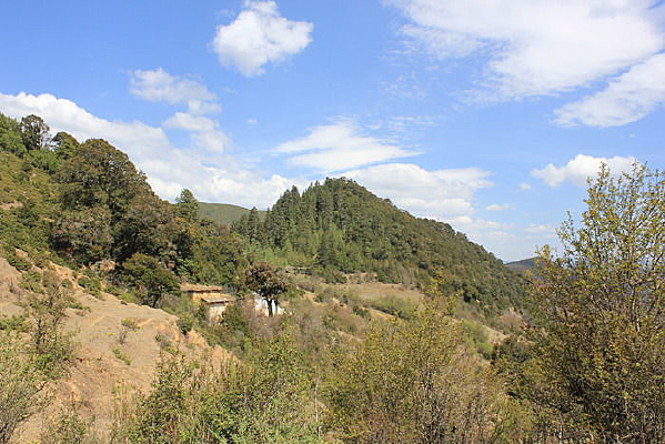 ɽ����������ֲ��