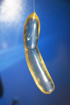 �����⳦�����