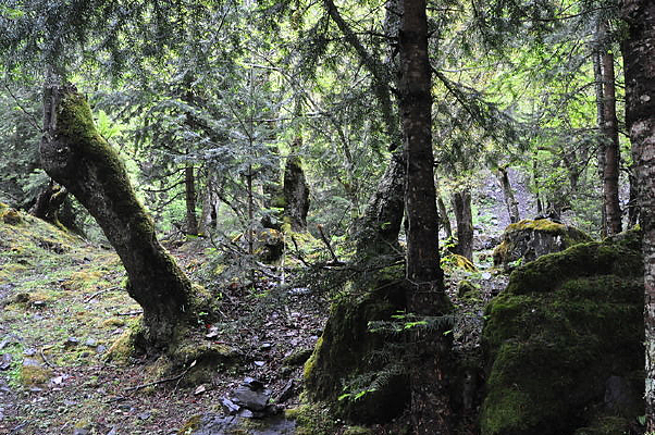 ��ɽ�й�����Ϣ