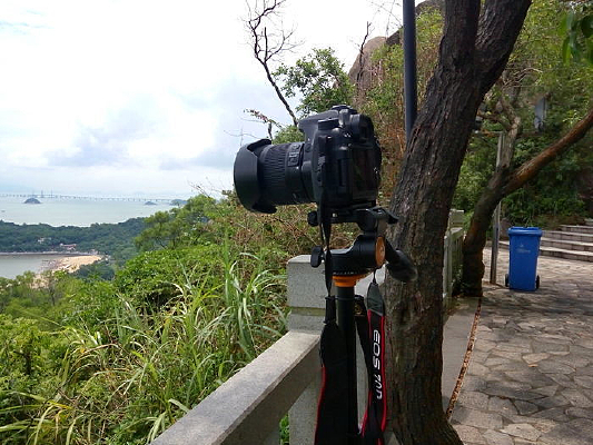 �����е����