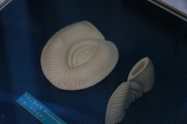 ����ʿ���ĳ����