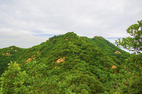 �ƴ��ųǹ�ǧɽɽ�����������