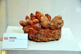 ����������������ε�