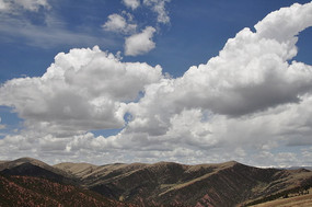 �������ߵ�����