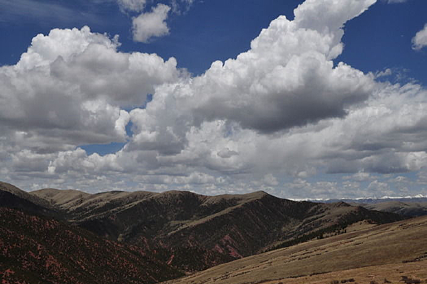 �������ߵ����