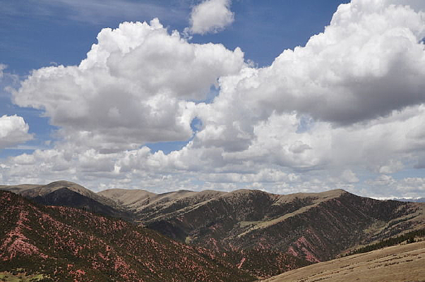 ����������ɽ��