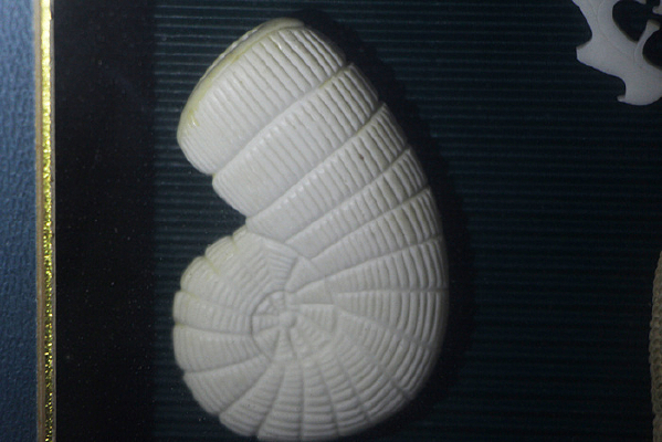 ������������