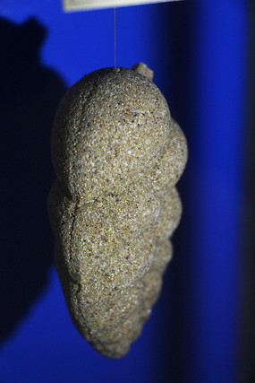 Ҷ״��ƽ�������