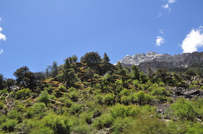 Զ���߸ߵ�ѩɽ