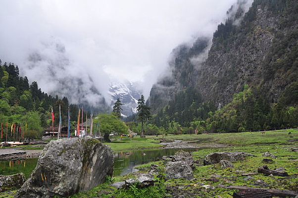 Զ���������ʵ�ɽ��