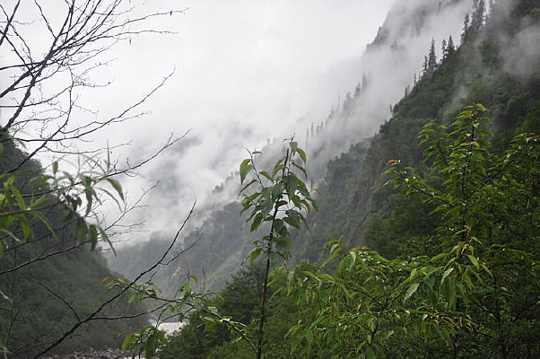 Զ�����е�ɽ��