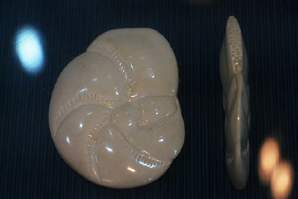 Բ��ڳ����