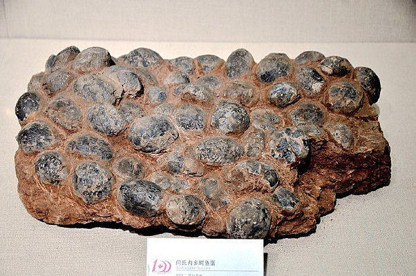 ������������������㵰