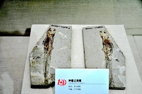 ��������ӽ������