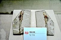 ӽ