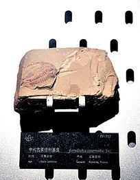 纮м
