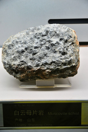 ����ĸƬ��