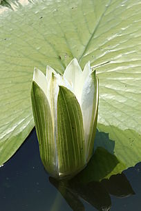 �뿪�İ�����