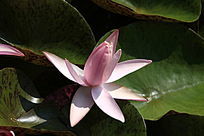 �뿪�ķ�����