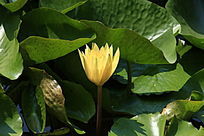 �뿪�Ļ�����