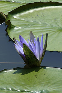 �뿪��������