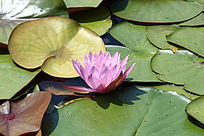 �뿪������