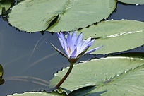 �뿪��ǳ������