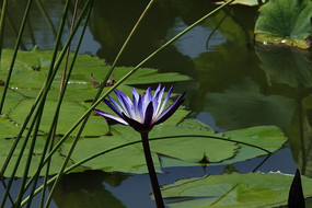 �뿪��ǳ������