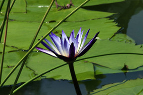 �뿪��ǳ������