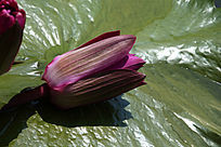 �뿪���Ϻ�����