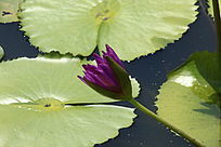 �뿪���Ϻ�������