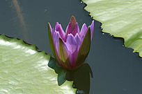 �뿪��������