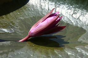 �뿪��������