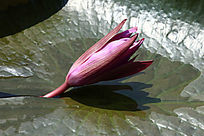 �뿪��������